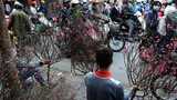 Chợ hoa Quảng Bá lọt top điểm đón Tết tuyệt nhất thế giới 